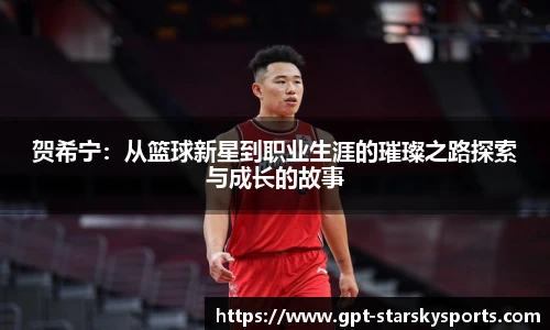 贺希宁：从篮球新星到职业生涯的璀璨之路探索与成长的故事